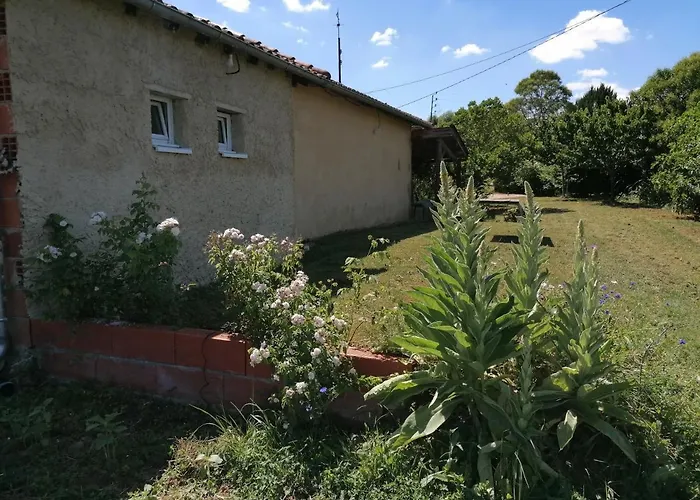 La Contesse